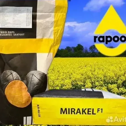 Семена ярового рапса МИРАКЛЬ