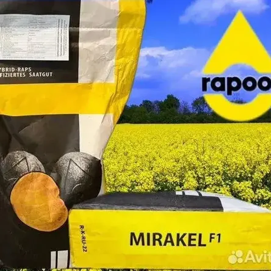 Семена ярового рапса МИРАКЛЬ