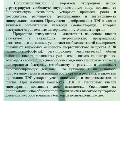 75e07afb-f054-48d2-ad4d-f2aaa0721285-нифрасил.jpg