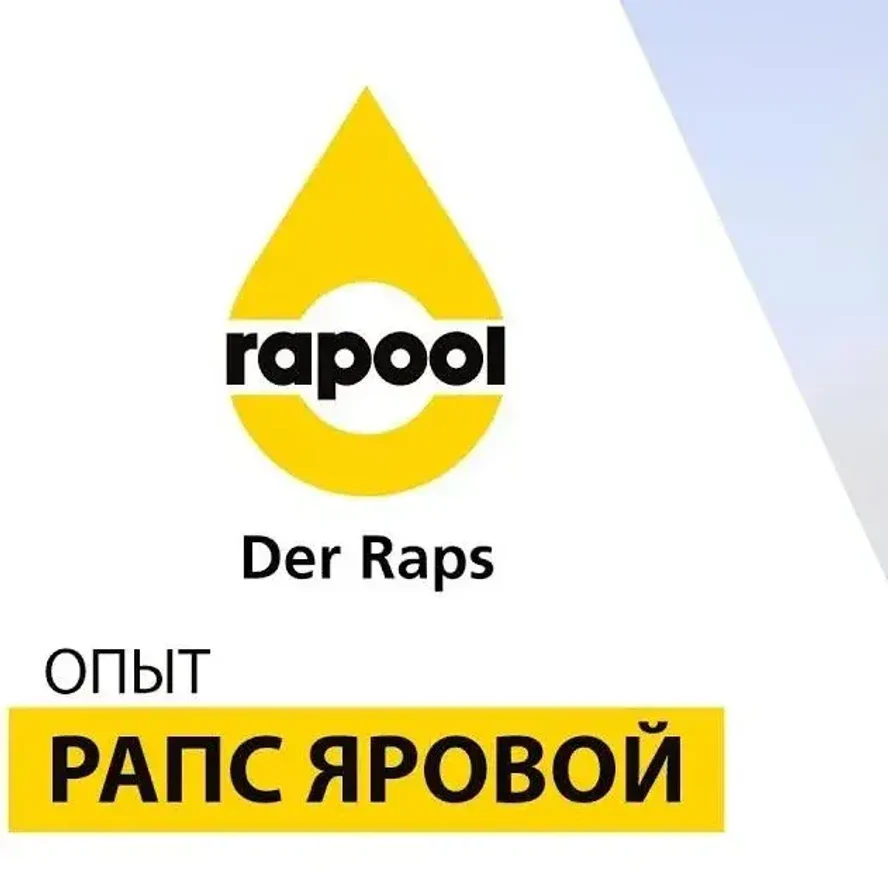 Семена ярового рапса ЦИКЛУС