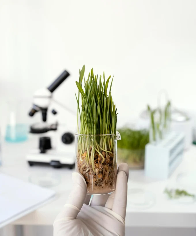 Поставка регулятора роста растений НИФРАСИЛ