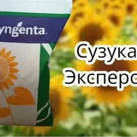 Семена гибрида подсолнечника СУЗУКА HTS