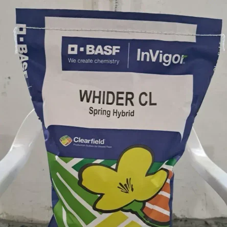 Семена ярового рапса ВИДЕР