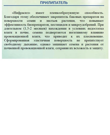 d3f3da2c-ca5c-49b9-a107-80c5afbc8fa3-прилипатель.jpg